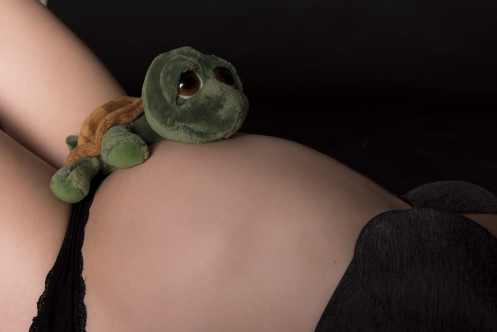 żółw na ciążowym brzuszku